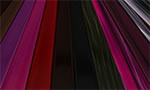 image:bamboo grass / YBD / SP / YF Series